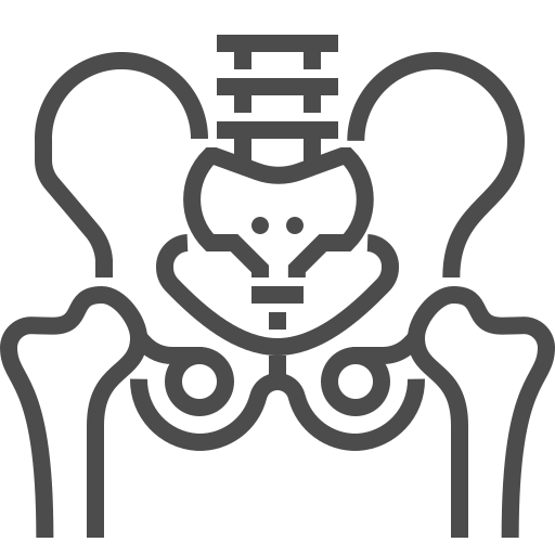 Quadril
